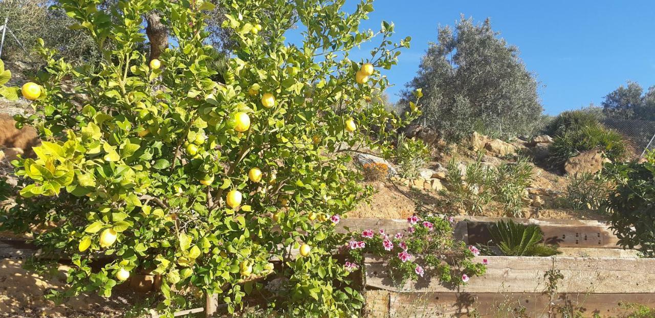 Villa Rural El Mirador Álora Eksteriør billede